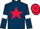 Jockey silks for Shadowfax Of Rohan (IRE)