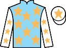Jockey silks for Expert Agent