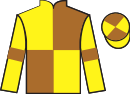 Jockey silks for Rainbow Sign