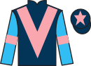 Jockey silks for Crimson Rambler