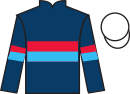 Jockey silks for Equality