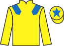 Jockey silks for Zermatt Star (IRE)