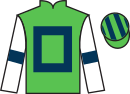 Jockey silks for Treasure Memory (IRE)