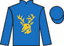 Jockey silks for Lizzie Twigg (IRE)