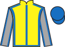 Jockey silks for Count Adhemar (IRE)