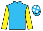 Jockey silks for Lundy View