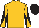 jockey silks