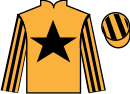 jockey silks
