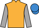jockey silks