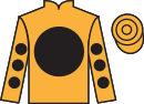 jockey silks