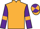jockey silks