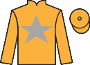 Jockey silks for Blue Universe (IRE)