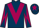 Jockey silks for Fresh Perspective