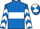 Jockey silks for Officer Of State