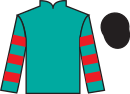 Jockey silks for Some Boy Me
