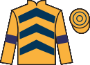 Jockey silks for Free Pic (IRE)