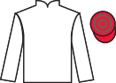 Jockey silks for Snow Punt (IRE)