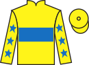 Jockey silks for Master Jorrocks