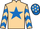 Jockey silks for Granlahan (IRE)