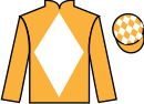 Jockey silks for Tiger Twins (IRE)