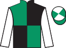 Jockey silks for Gonewild (IRE)