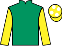 Jockey silks for Aurea Fortuna (IRE)