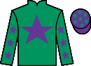 Jockey silks for City Chief (IRE)