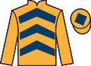 Jockey silks for Kildare d'Irlande (FR)