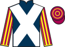 Jockey silks for Le Puy