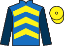 Jockey silks for Golden Valour