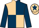 Jockey silks for Shifter