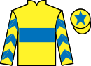 Jockey silks for Yellow Card