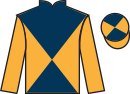 Jockey silks for Mariniere