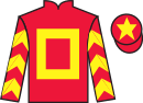 Jockey silks for Fairlawn Flyer