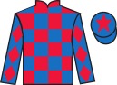Jockey silks for Mind Hunter