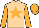 Jockey silks for Noble Don (IRE)
