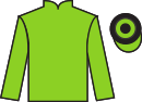 Jockey silks for Tinsel