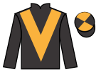 jockey silks