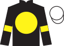 jockey silks