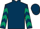 jockey silks