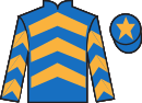 jockey silks