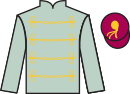 jockey silks