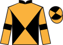 jockey silks