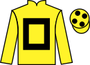 Jockey silks for Prince Of Air (FR)