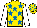 Jockey silks for Desert Haven