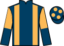 Jockey silks for Healys Pub