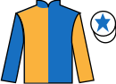Jockey silks for Born Braver (IRE)