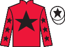 Jockey silks for State Pension (IRE)