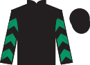 Jockey silks for Tralee Girl (IRE)