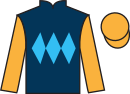 Jockey silks for Miss Kassiopi